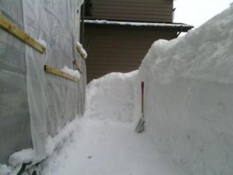 除雪
